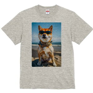 Č TVc fB[X t@  t  vg JWA 킢 lԗp h ̃fUC ʔ TOX Č r[` C