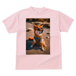 Č TVc fB[X t@  t  vg JWA 킢 lԗp h ̃fUC ʔ TOX Č xXg