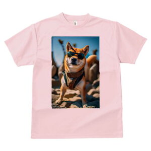 Č TVc fB[X t@  t  vg JWA 킢 lԗp h ̃fUC ʔ TOX Č n[lX 