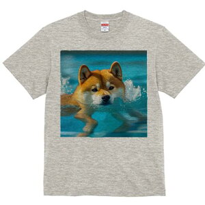 Č TVc fB[X t@  t  vg JWA 킢 lԗp h ̃fUC ʔ  Č v[