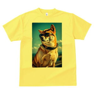 Č TVc fB[X t@  t  vg JWA 킢 lԗp h ̃fUC ʔ TOX Č 