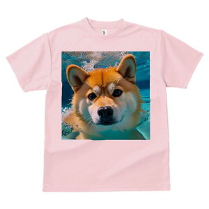 Č TVc fB[X t@  t  vg JWA 킢 lԗp h ̃fUC ʔ  Č j