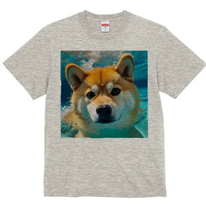 Č TVc fB[X t@  t  vg JWA 킢 lԗp h ̃fUC ʔ  Č j