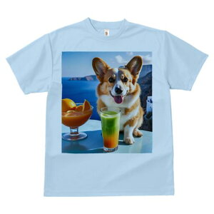 R[M[ TVc fB[X t@  t  vg JWA 킢 lԗp h ̃fUC ʔ W[X R[M[ OX C