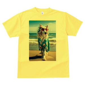 AtKnEh TVc fB[X t@  t  vg JWA 킢 lԗp h ̃fUC ʔ TOX AtKnEh AnVc C r[`