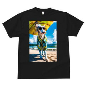 AtKnEh TVc fB[X t@  t  vg JWA 킢 lԗp h ̃fUC ʔ r[` AtKnEh C P AnVc