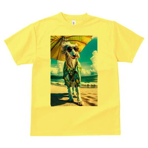 AtKnEh TVc fB[X t@  t  vg JWA 킢 lԗp h ̃fUC ʔ r[` AtKnEh C P AnVc