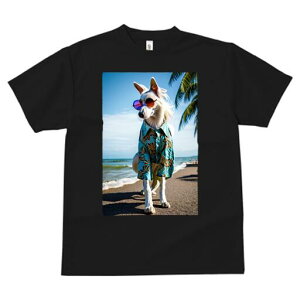 AtKnEh TVc fB[X t@  t  vg JWA 킢 lԗp h ̃fUC ʔ AnVc AtKnEh TOX C r[`