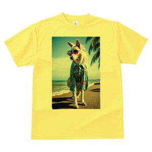 AtKnEh TVc fB[X t@  t  vg JWA 킢 lԗp h ̃fUC ʔ AnVc AtKnEh TOX C r[`