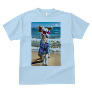 AtKnEh TVc fB[X t@  t  vg JWA 킢 lԗp h ̃fUC ʔ r[` AtKnEh C g Vc