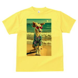 AtKnEh TVc fB[X t@  t  vg JWA 킢 lԗp h ̃fUC ʔ r[` AtKnEh C g Vc