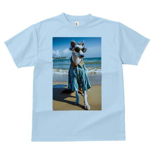 {]C TVc fB[X t@  t  vg JWA 킢 lԗp h ̃fUC ʔ r[` {]C C Vc TOX