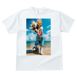 AtKnEh TVc fB[X t@  t  vg JWA 킢 lԗp h ̃fUC ʔ TOX AtKnEh AnVc r[` C