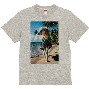 AtKnEh TVc fB[X t@  t  vg JWA 킢 lԗp h ̃fUC ʔ r[` AtKnEh C V̖ AnVc