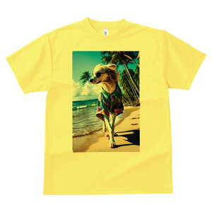 AtKnEh TVc fB[X t@  t  vg JWA 킢 lԗp h ̃fUC ʔ r[` AtKnEh C V̖ AnVc