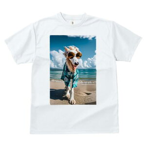 {]C TVc fB[X t@  t  vg JWA 킢 lԗp h ̃fUC ʔ r[` {]C C  TOX