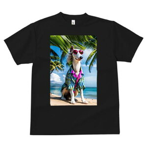 {]C TVc fB[X t@  t  vg JWA 킢 lԗp h ̃fUC ʔ r[` {]C C z x