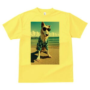 {]C TVc fB[X t@  t  vg JWA 킢 lԗp h ̃fUC ʔ r[` {]C C  x