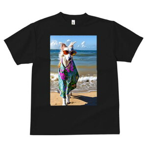 {]C TVc fB[X t@  t  vg JWA 킢 lԗp h ̃fUC ʔ AnVc {]C r[` C TOX