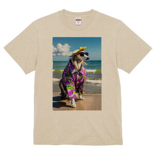 AtKnEh TVc fB[X t@  t  vg JWA 킢 lԗp h ̃fUC ʔ r[` AtKnEh C Xq TOX