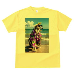 AtKnEh TVc fB[X t@  t  vg JWA 킢 lԗp h ̃fUC ʔ r[` AtKnEh C Xq TOX