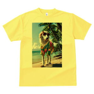 {]C TVc fB[X t@  t  vg JWA 킢 lԗp h ̃fUC ʔ r[` {]C C V̖ TOX