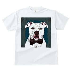 AJuhbO TVc fB[X t@  t  vg JWA 킢 lԗp h ̃fUC ʔ lN^C AJuhbO