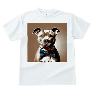 AJsbgueA TVc fB[X t@  t  vg JWA 킢 lԗp h ̃fUC ʔ lN^C AJsbgueA