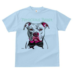 AJsbgueA TVc fB[X t@  t  vg JWA 킢 lԗp h ̃fUC ʔ lN^C AJsbgueA