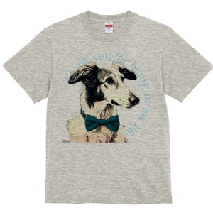 {]C TVc fB[X t@  t  vg JWA 킢 lԗp h ̃fUC ʔ lN^C {]C