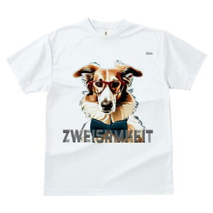 {]C TVc Y LbY t@  t  vg JWA 킢 lԗp h ̃fUC ʔ Kl {]C lN^C