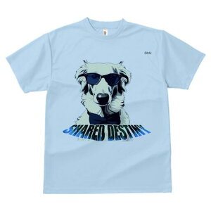 {]C TVc fB[X t@  t  vg JWA 킢 lԗp h ̃fUC ʔ TOX {]C lN^C