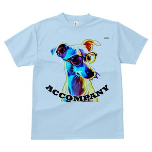 C^AO[nEh TVc Y LbY t@  t  vg JWA 킢 lԗp h ̃fUC ʔ Kl C^AO[nEh