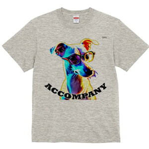 C^AO[nEh TVc fB[X t@  t  vg JWA 킢 lԗp h ̃fUC ʔ Kl C^AO[nEh