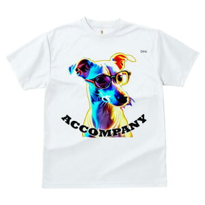 C^AO[nEh TVc Y LbY t@  t  vg JWA 킢 lԗp h ̃fUC ʔ Kl C^AO[nEh