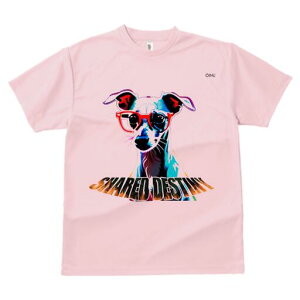 C^AO[nEh TVc fB[X t@  t  vg JWA 킢 lԗp h ̃fUC ʔ Kl C^AO[nEh