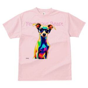 C^AO[nEh TVc Y LbY t@  t  vg JWA 킢 lԗp h ̃fUC ʔ Kl C^AO[nEh