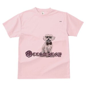 }`[Y TVc fB[X t@  t  vg JWA 킢 lԗp h ̃fUC ʔ Kl }`[Y lN^C