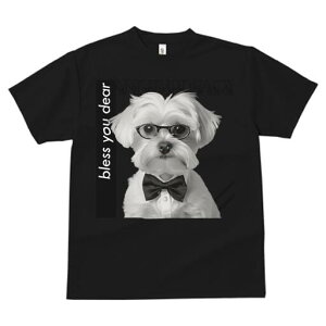 }`[Y TVc fB[X t@  t  vg JWA 킢 lԗp h ̃fUC ʔ lN^C }`[Y ዾ Vc