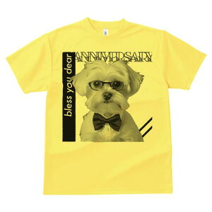 }`[Y TVc fB[X t@  t  vg JWA 킢 lԗp h ̃fUC ʔ lN^C }`[Y ዾ Vc