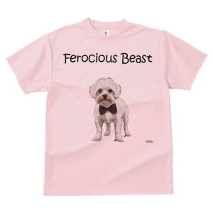 }`[Y TVc fB[X t@  t  vg JWA 킢 lԗp h ̃fUC ʔ lN^C }`[Y