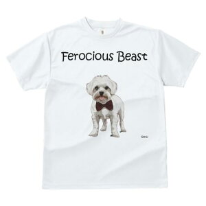 }`[Y TVc fB[X t@  t  vg JWA 킢 lԗp h ̃fUC ʔ lN^C }`[Y