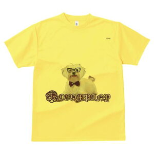 }`[Y TVc fB[X t@  t  vg JWA 킢 lԗp h ̃fUC ʔ Kl }`[Y lN^C