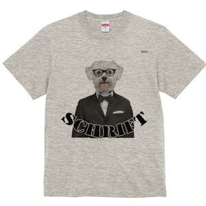 }`[Y TVc Y LbY t@  t  vg JWA 킢 lԗp h ̃fUC ʔ ^LV[h }`[Y lN^C Kl