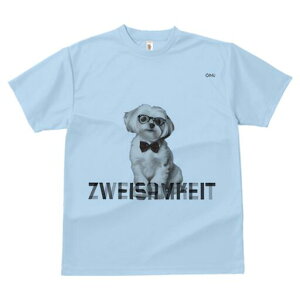 }`[Y TVc fB[X t@  t  vg JWA 킢 lԗp h ̃fUC ʔ Kl }`[Y lN^C