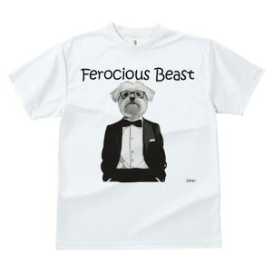 }`[Y TVc fB[X t@  t  vg JWA 킢 lԗp h ̃fUC ʔ ^LV[h }`[Y lN^C ዾ