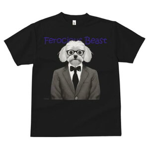 }`[Y TVc fB[X t@  t  vg JWA 킢 lԗp h ̃fUC ʔ X[c }`[Y lN^C ዾ