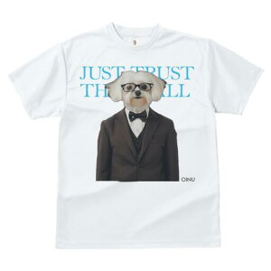 }`[Y TVc fB[X t@  t  vg JWA 킢 lԗp h ̃fUC ʔ X[c }`[Y lN^C Kl