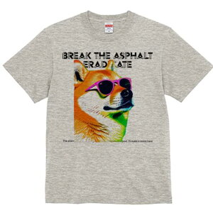 Č TVc fB[X t@  t  vg JWA 킢 lԗp h ̃fUC ʔ TOX Č