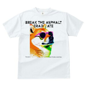 Č TVc fB[X t@  t  vg JWA 킢 lԗp h ̃fUC ʔ TOX Č